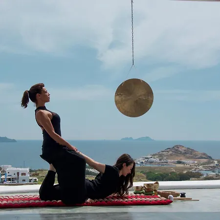 Alegria Mykonos 7 Willa Kalafati